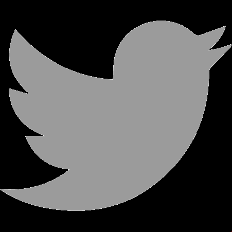 Twitter Profile