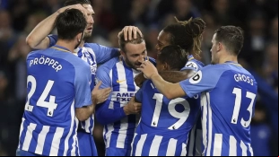 Los jugadores del Brighton celebran un gol